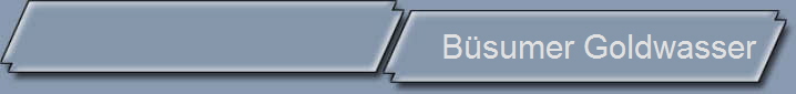 Bsumer Goldwasser