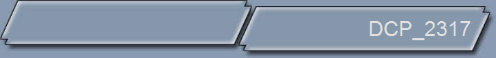 DCP_2317