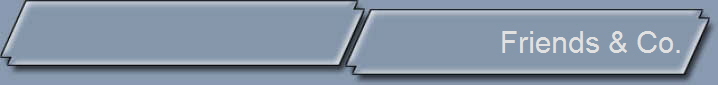 Friends & Co.