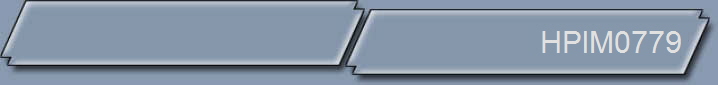 HPIM0779